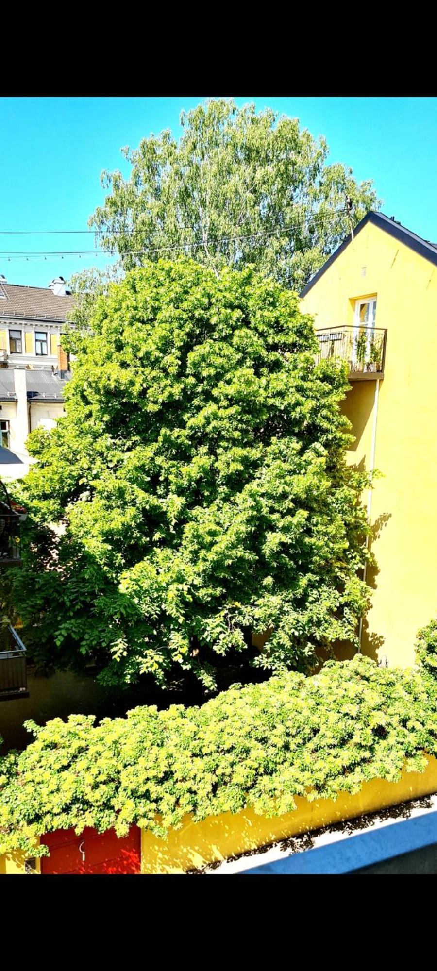 Modern Central Apartment Next To Beautiful Nature2424 Oslo Dış mekan fotoğraf
